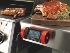 GrillEye Pro Plus Smart Bluetooth Grillthermometer Mit Cloud Funktion -GrillWerk Verkäufe 17972 GrillEye Magnetic Mount