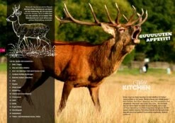 Don Marcos Wild Kitchen 1.0 - Das Buch Zum Gewürz -GrillWerk Verkäufe 19383 Don Marcos Barbecue Wild Kitchen P 8 1558084592