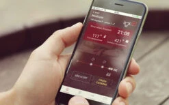 Big Green Egg CookPerfect Wireless Grillthermometer -GrillWerk Verkäufe Big Green Egg CookPerfect Wireless App