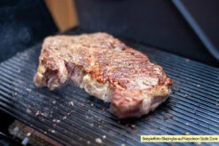 Outdoorchef Blazinglas® XL Für Napoleon Sizzle Zone Prestige PRO (665/500) / Prestige / Rogue SE / RSE -GrillWerk Verkäufe Blazinglas Napoleon Sizzlezone