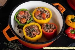 Grillfürst Emaillierter Dutch Oven Ohne Füsse DO12 - Rot -GrillWerk Verkäufe Grillfuerst Dutch Oven emailliert Beispiel DO7 5 orange 2