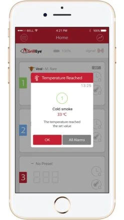 GrillEye Smart Bluetooth Grillthermometer (Grill Eye) -GrillWerk Verkäufe grilleye app alarm temperatur