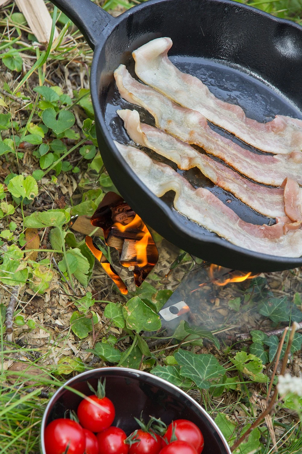 Petromax Feuerpfanne Gusseisen Fp25-t Mit Stiel 4 Petromax Feuerpfanne Gusseisen Fp25-t Mit Stiel – Bild 2